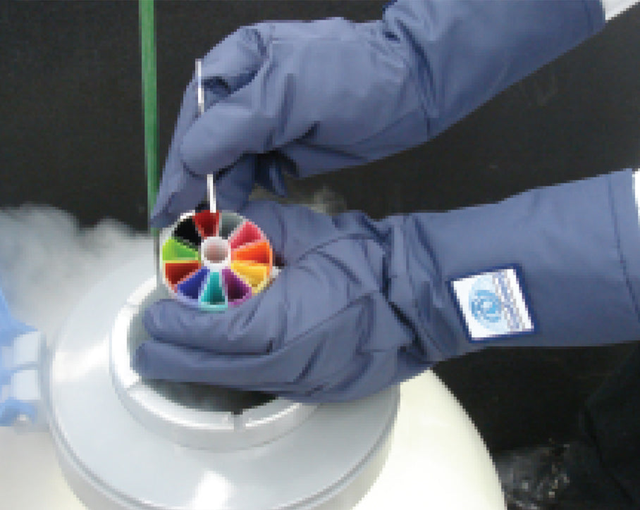 CryoGuard Standard Series Gloves