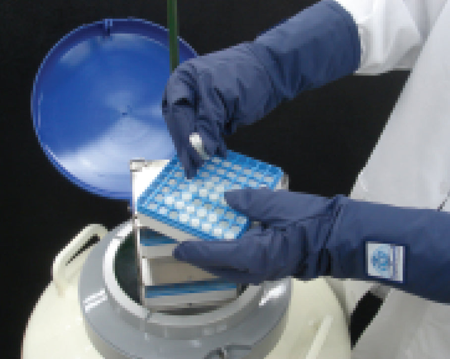 CryoGuard Standard Series Gloves