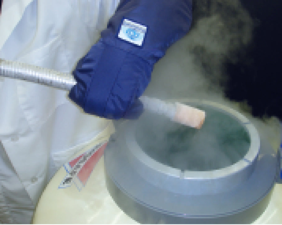 CryoGuard Standard Series Gloves